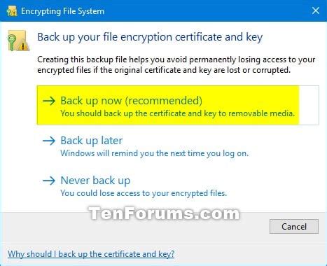 netlib encryptionizer|encrypting file system windows 10.